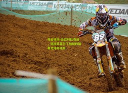 开云娱乐-北欧村队奇迹，揭秘艾菲尔丁加盟的瑞典足球乌托邦