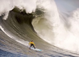 开云官网-中超格局再洗牌！申花高开低走陷低迷，津门虎客胜抢下关键三分