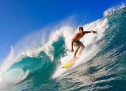 【开云体育】朱婷身披科内新战袍归队！全队热情迎接，欧冠首秀在即剑指22场不败