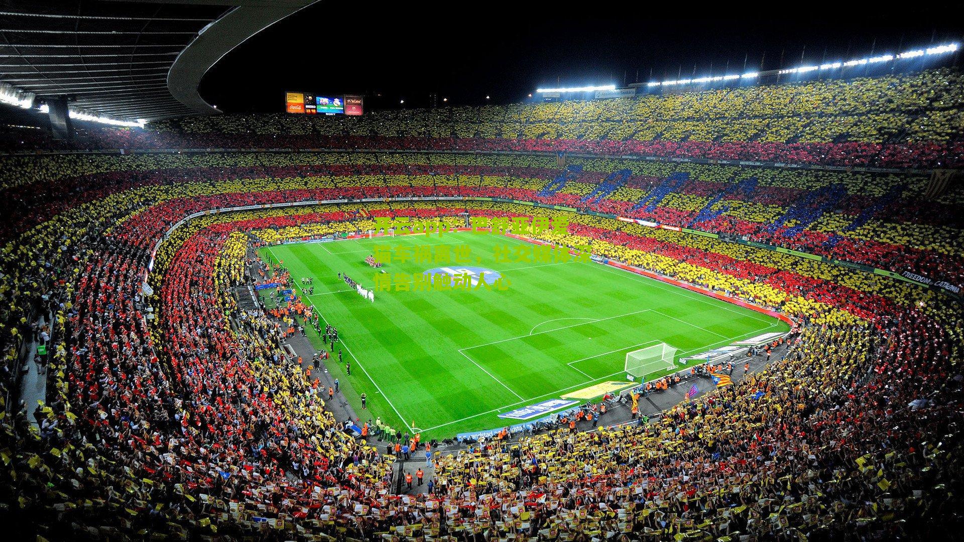 巴舒亚伊爱猫车祸离世，社交媒体深情告别触动人心