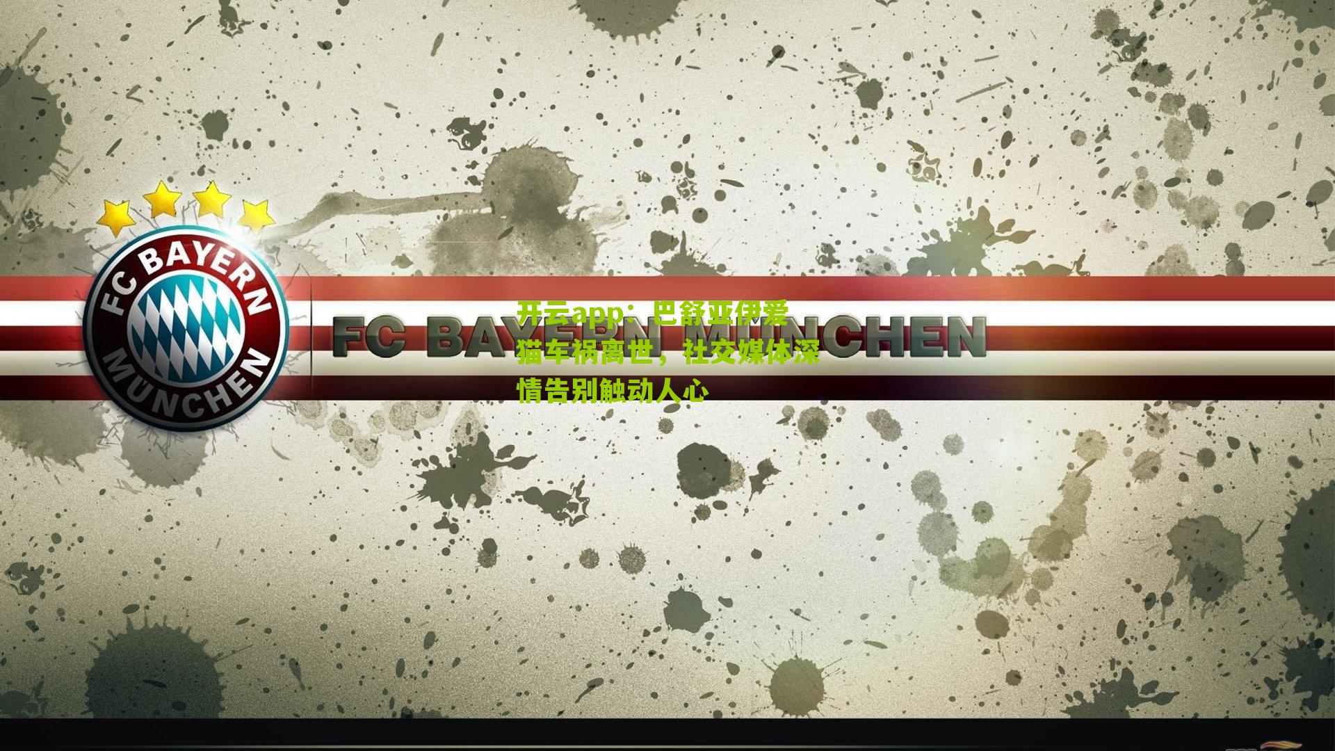 巴舒亚伊爱猫车祸离世，社交媒体深情告别触动人心