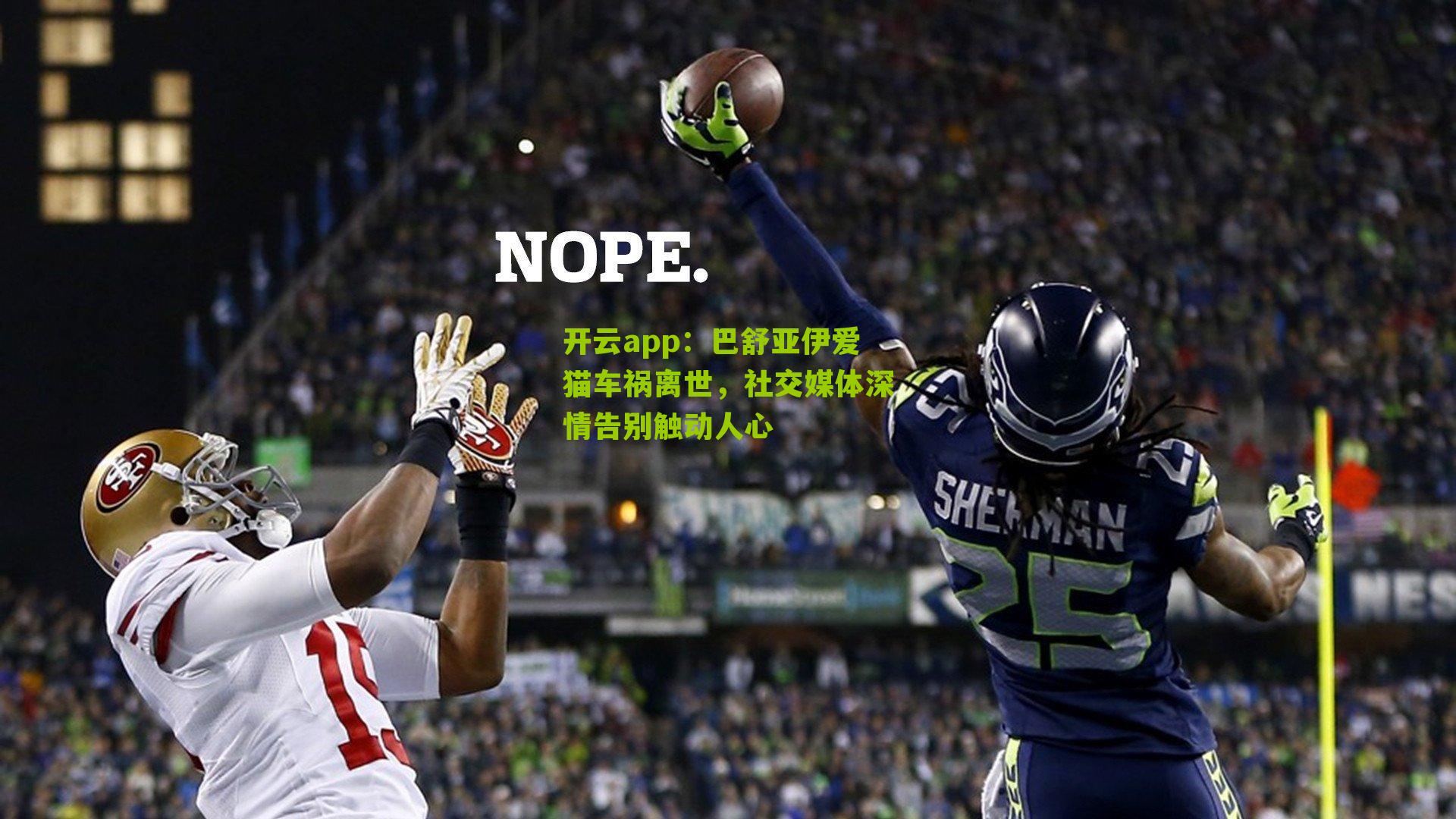 巴舒亚伊爱猫车祸离世，社交媒体深情告别触动人心